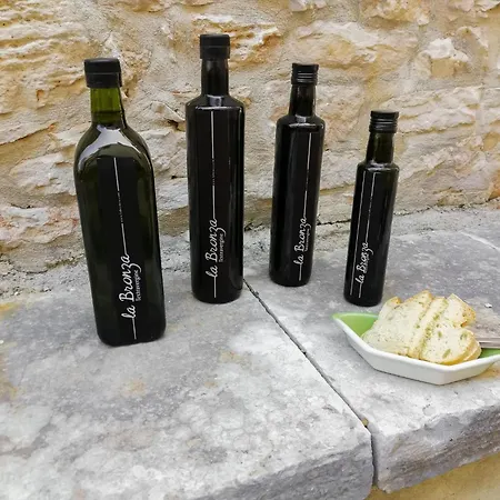 Forlani-2 By Interhome