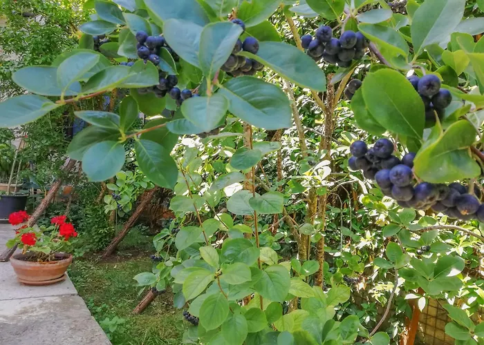 Apartman Forlani-2 By Interhome